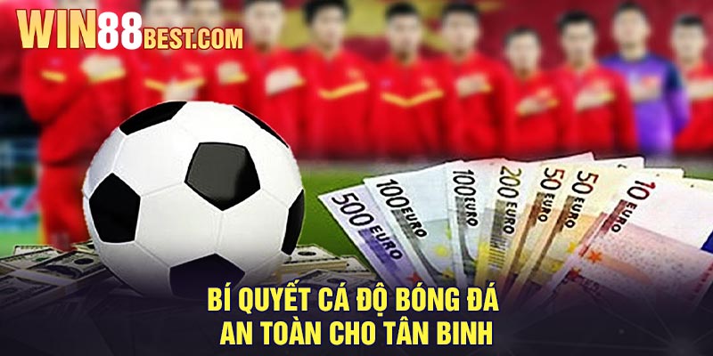 Bí quyết cá độ bóng đá an toàn cho tân binh