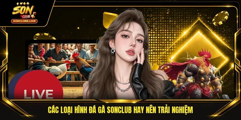 Các loại hình đá gà Sonclub hay nên trải nghiệm 