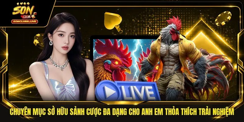 Chuyên mục sở hữu sảnh cược đa dạng cho khách hàng thỏa thích trải nghiệm 